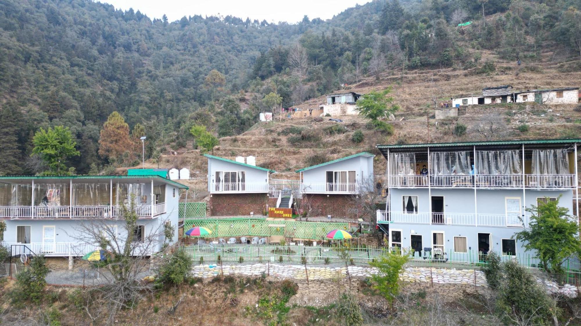 The Rare One's - & Cafe Homestay